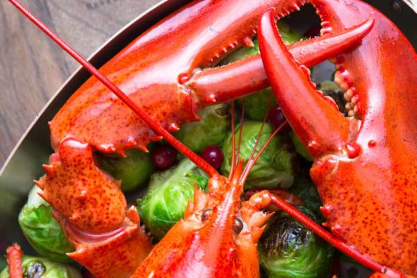 food-photography-gourmet-lobster-montage-hotel